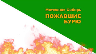 "Мятежная Сибирь. Пожавшие бурю"
