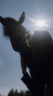 Путь с лошадьми