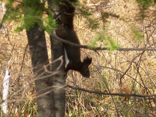 Калейдоскоп