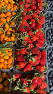 Путешествие в Сочи