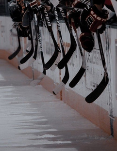 Выдающиеся хоккеисты 