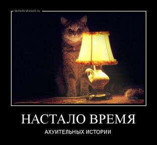 Истории из жизни