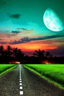 Открытия дорог, возможностей, талантов, магических способностей, обучения