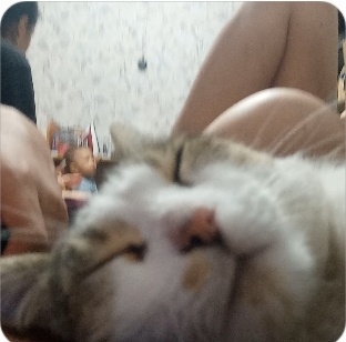 принял видео