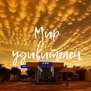 Чудеса природы