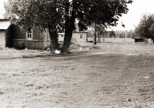 Снится мне деревня...