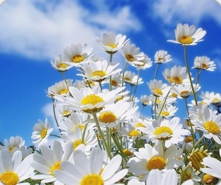 ЛЁГКОЕ ДЫХАНИЕ