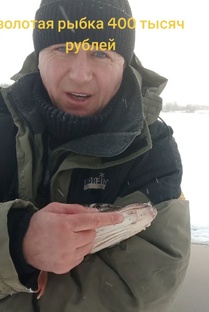 Золотая рыбка с золотым кольцом с девяти бриллиантами 