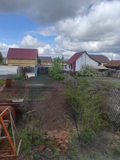 Огородные приключения 