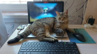 Дом и остальное