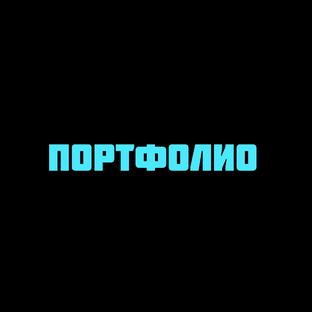 Портфолио 