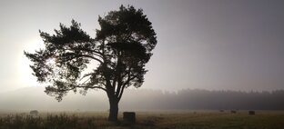 Переход в Зиму