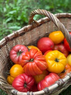 Сериал Томатная мафия  🍅😎