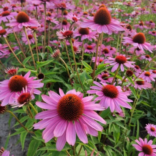 Сентябрь месяц 2025