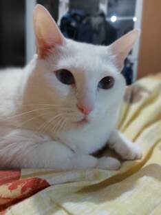 НЕМОЖЕТ БЫТЬ!!!!! Я НОБРАЛ 1ТРИЛЕОН СИЛЫ я в шоке!!!!!