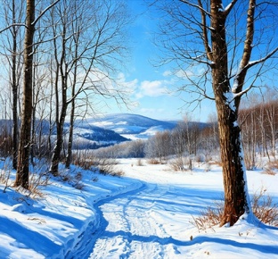 Записки зимы