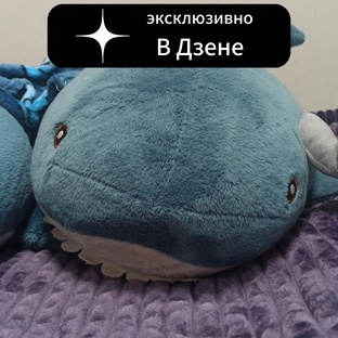 Эксклюзивно в Дзене