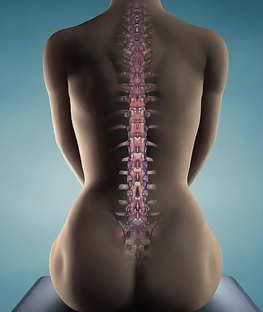 5. Позвоночник и суставы:  упражнения для оздоровления