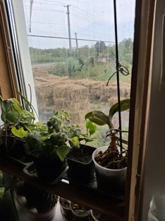 Лента кратких новостей