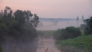 Крупные скандалы, тайны и происшествия