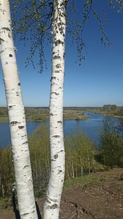 Красота родной природы. 