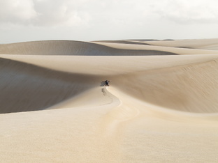 Разное интересное от Александра Шульгина 