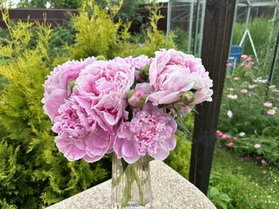 Идеи и мысли