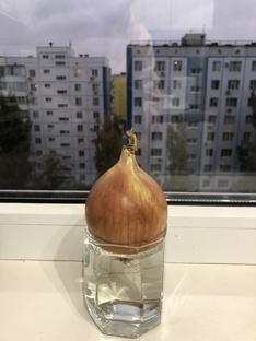 Вдохновение для воплощения 