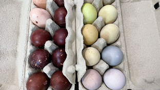Пасха 🐣 