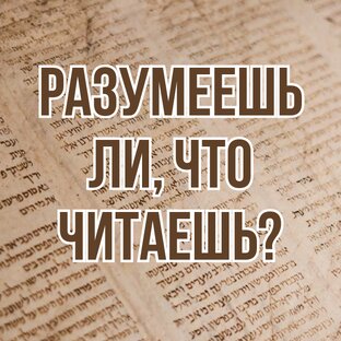 Разумеешь ли, что читаешь? (2021, цикл лекций)