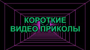 ВИДЕО ПРИКОЛЫ
