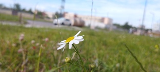  спасибо вам огромное