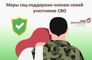 СОЦИАЛЬНЫЕ ГАРАНТИИ ВОЕННОСЛУЖАЩИХ РФ