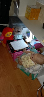 мои реборны седят и ресоют 