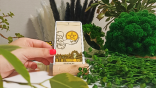 РАСКЛАДЫ ТАРО