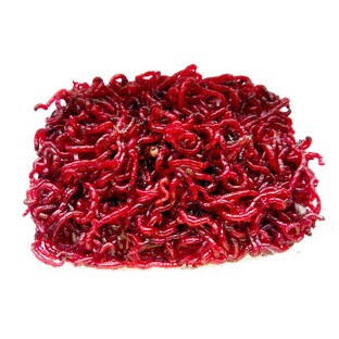 Мотыль: крошечное существо с огромной ролью в природе