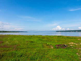 Летние приключения