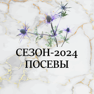 Сезон-2024. Выращивание из семян