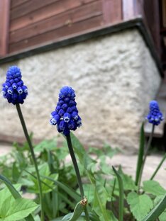 ФотоВидеоПрироды 