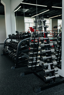 Фитнестерра