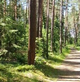 На Природу в Подмосковье