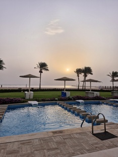 Перелётные птицы.