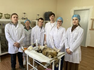 Начинающий специалист ветеринарного врача