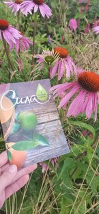 Ароматерапия