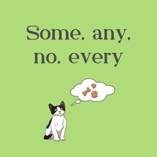 Some, any, no, every