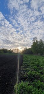 Огородные будни