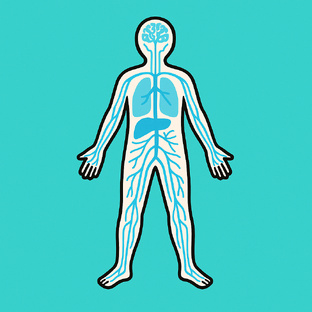 ЛФК: система здоровья