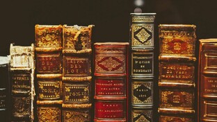 Подробные факты об увиденном