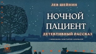 Лев Шейнин