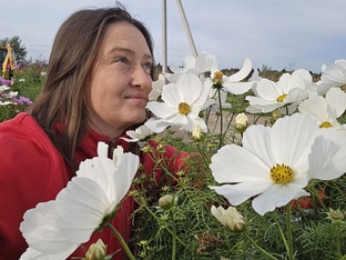 Рубрика дача: семена, посадки, растения